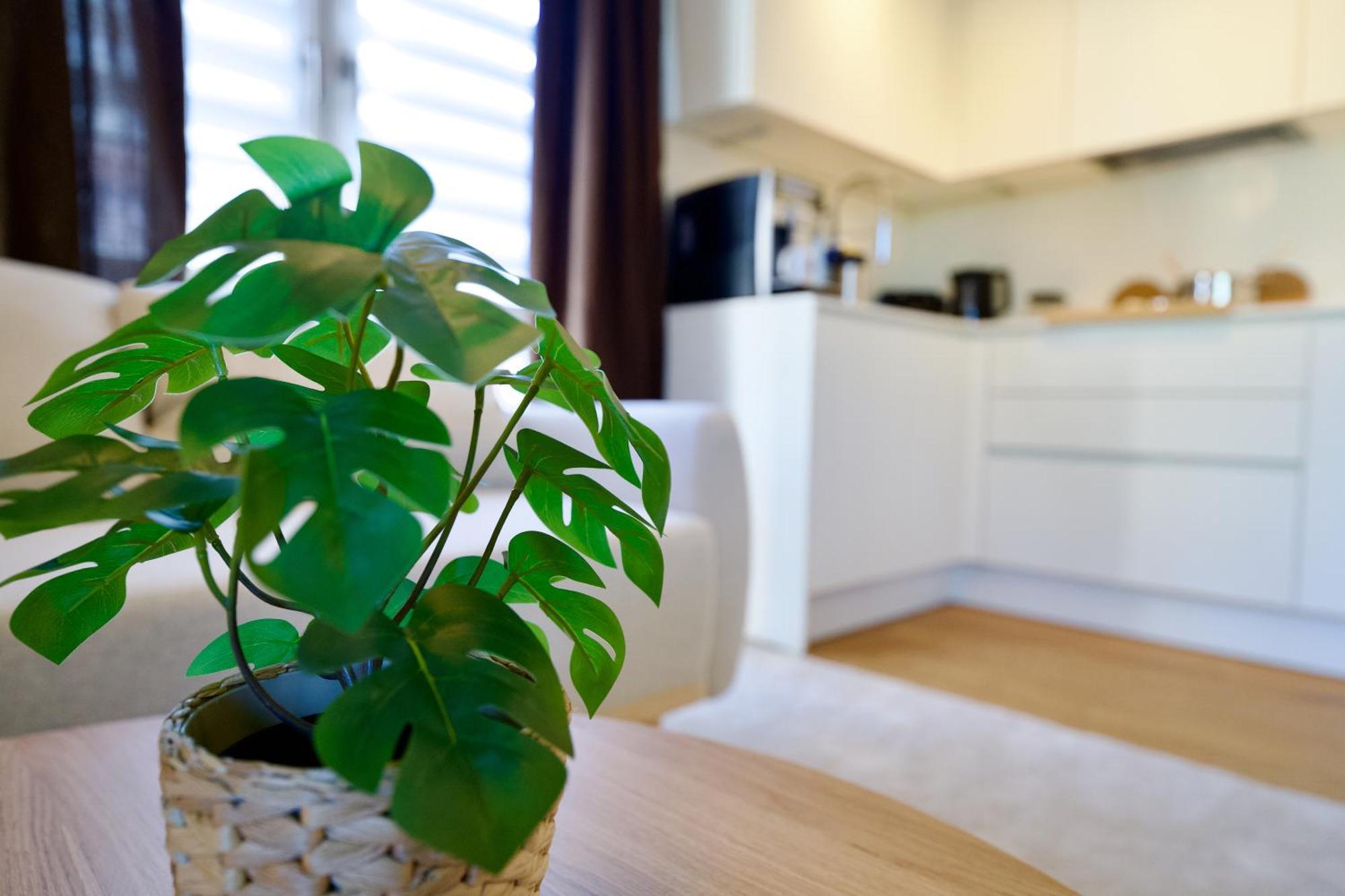 Edler Wohnraum Schwanenteich-Oase Mit Balkon, Kaffeevollautomat, Lift & Parkplatz Zwickau Exterior foto